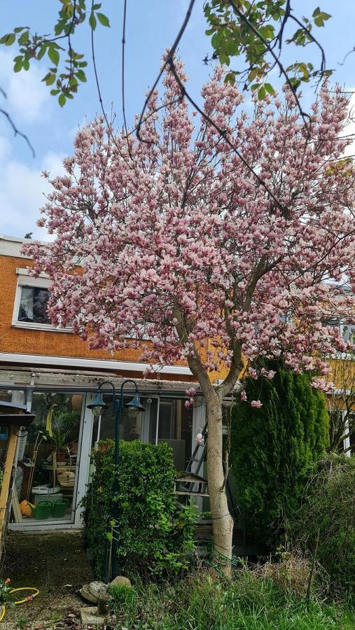 Mit Optimaler Verkehrsanbindung Und Vielen Extras In Berlin-rudow Homestay