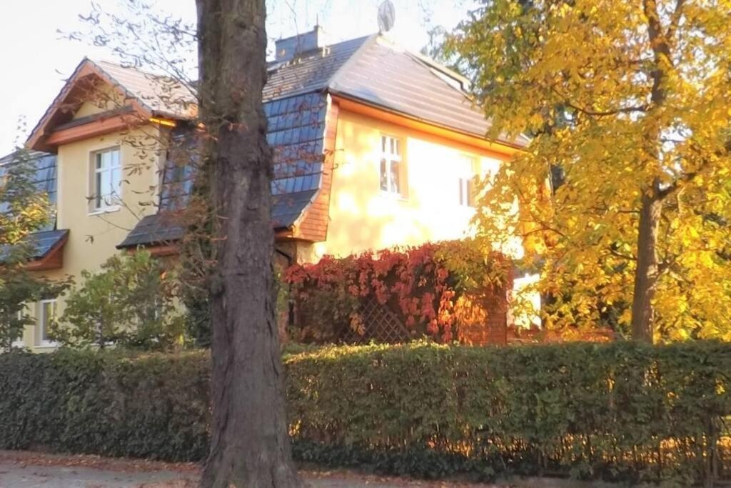 Lägenhet Town-villa, Apartment, Living With Big Sofa Bed , 2 Bedroom, 1kitchen, 1bathroom, 1 Office, 1 Garden Berlin