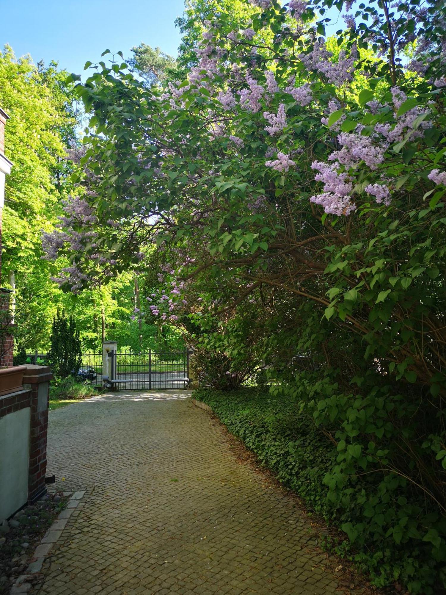 Gruenderzeitvilla In Zehlendorf Lägenhet