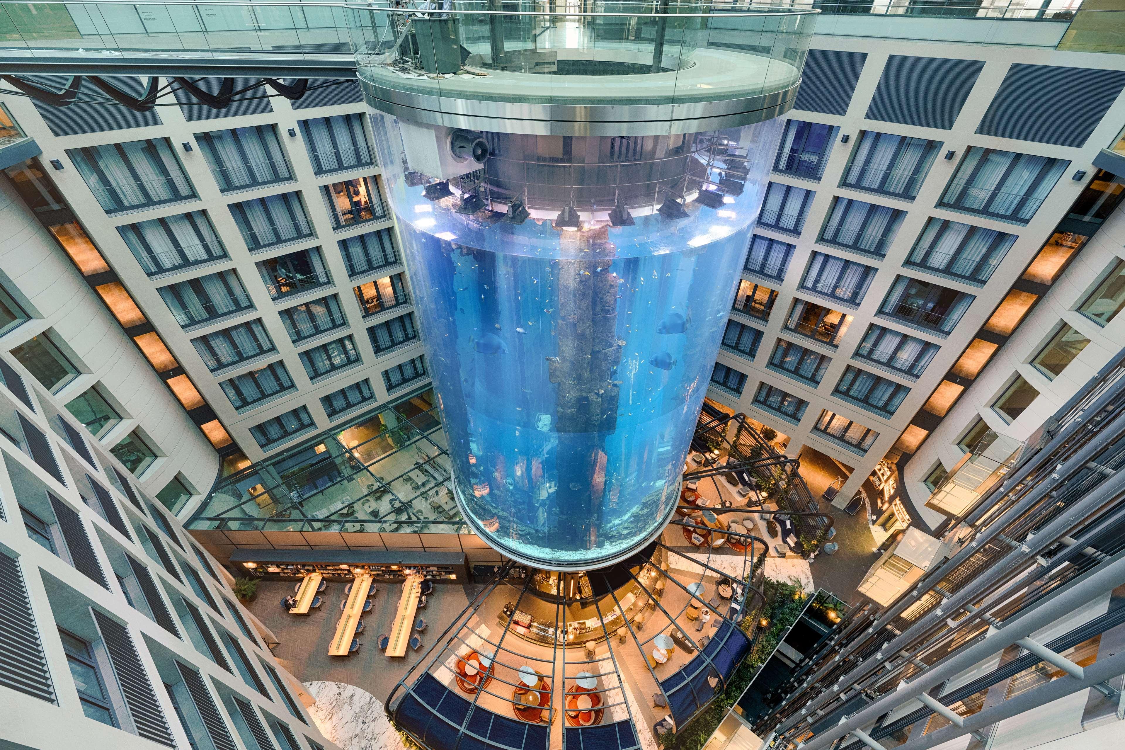 Radisson Blu Hotel, 5*