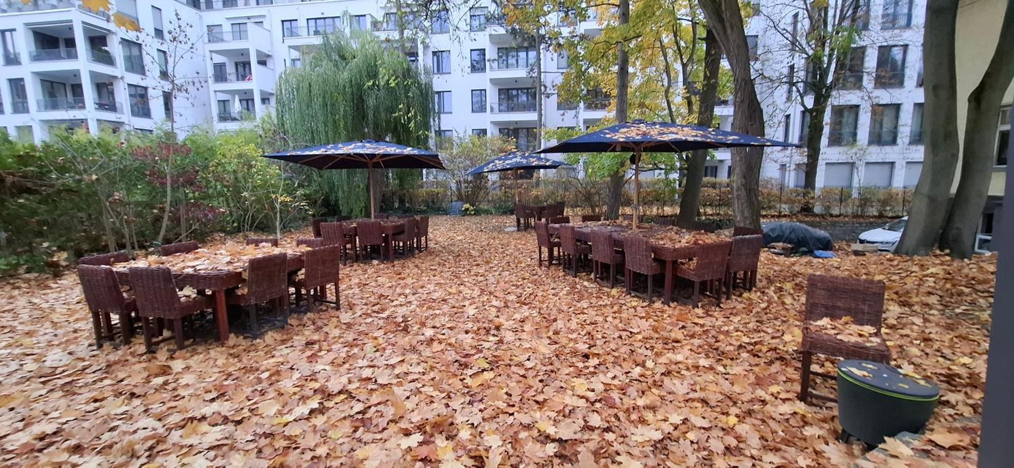 King David Garden Frühstückspension Berlin