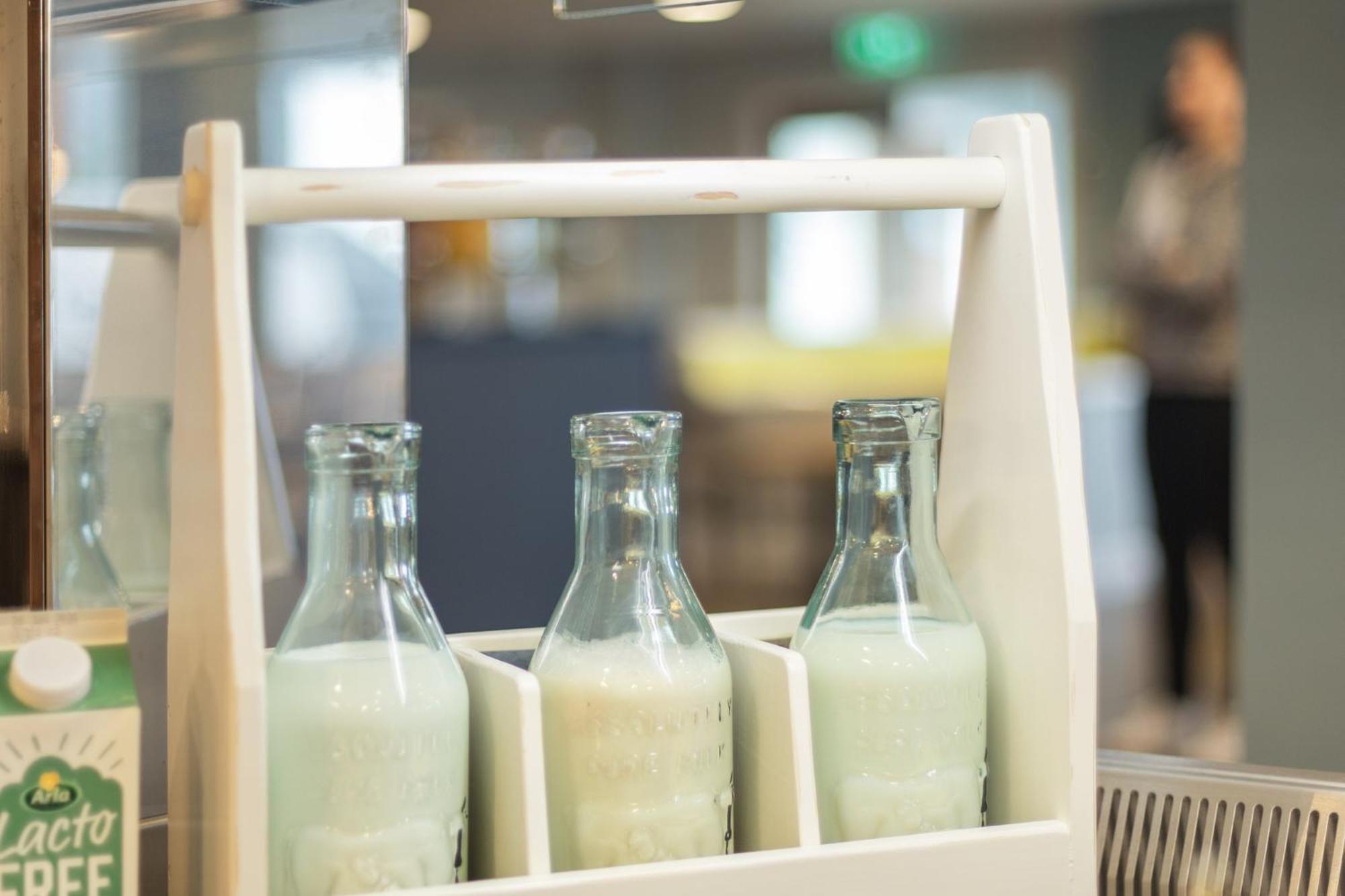 - The Niu, Pax Airport By Ihg Berlin