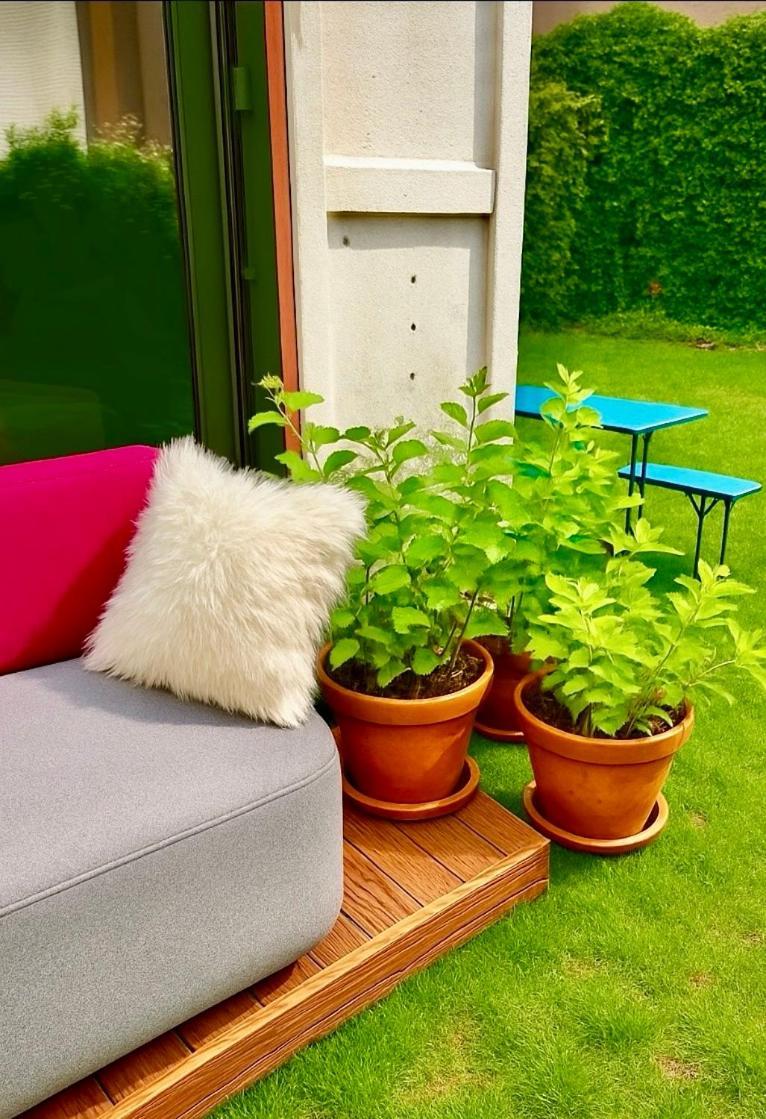 Designer Tiny House With Wraparound Sun Terrace & Garden Lounge Berlin