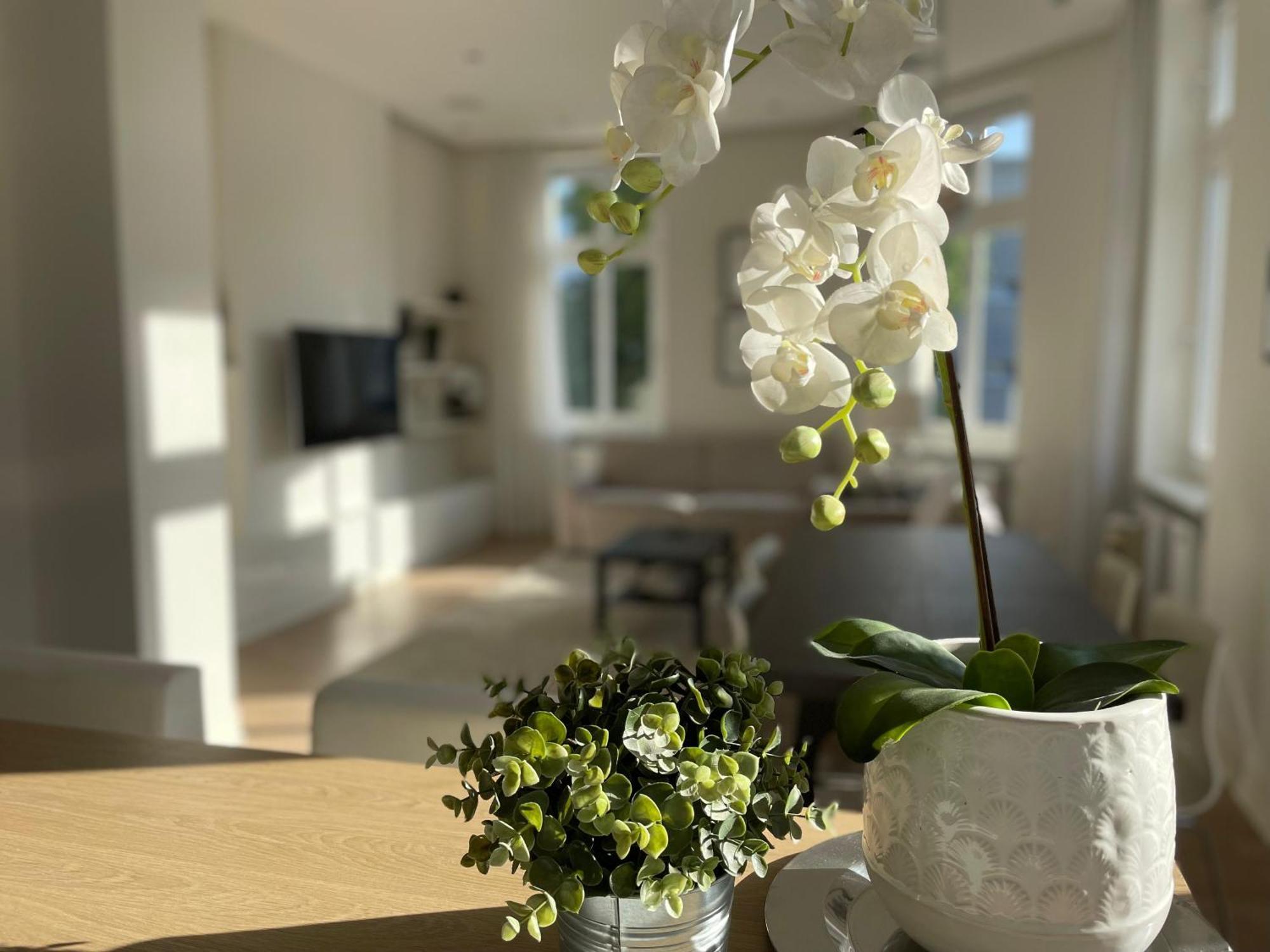 Stadtversteck Apartment *