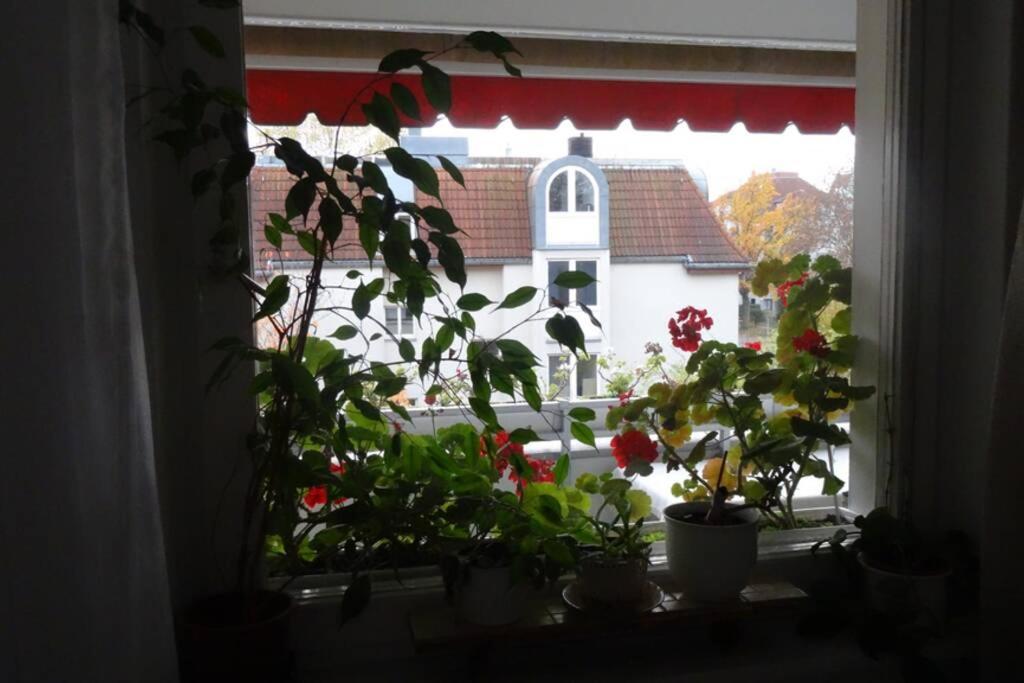 Schöne, Ruhige In Berlin-steglitz Berlin