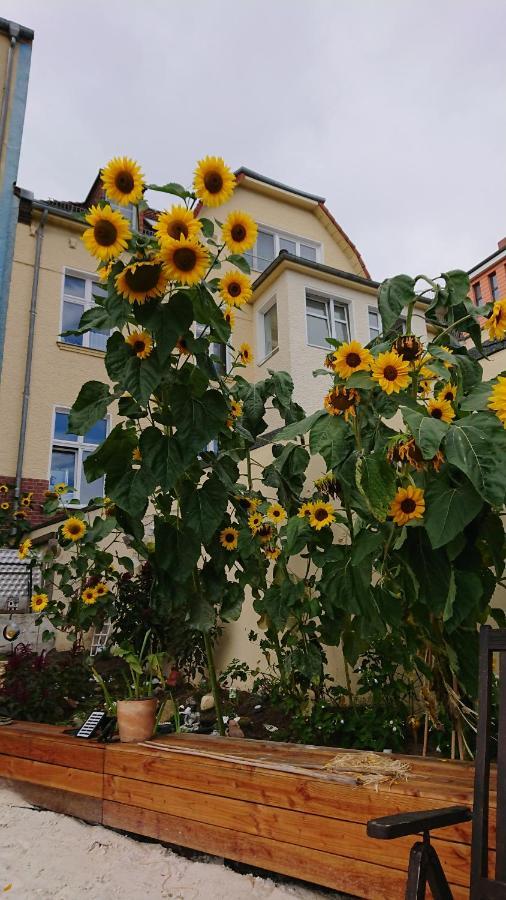 Homestay Ferienwohnung Dahme *