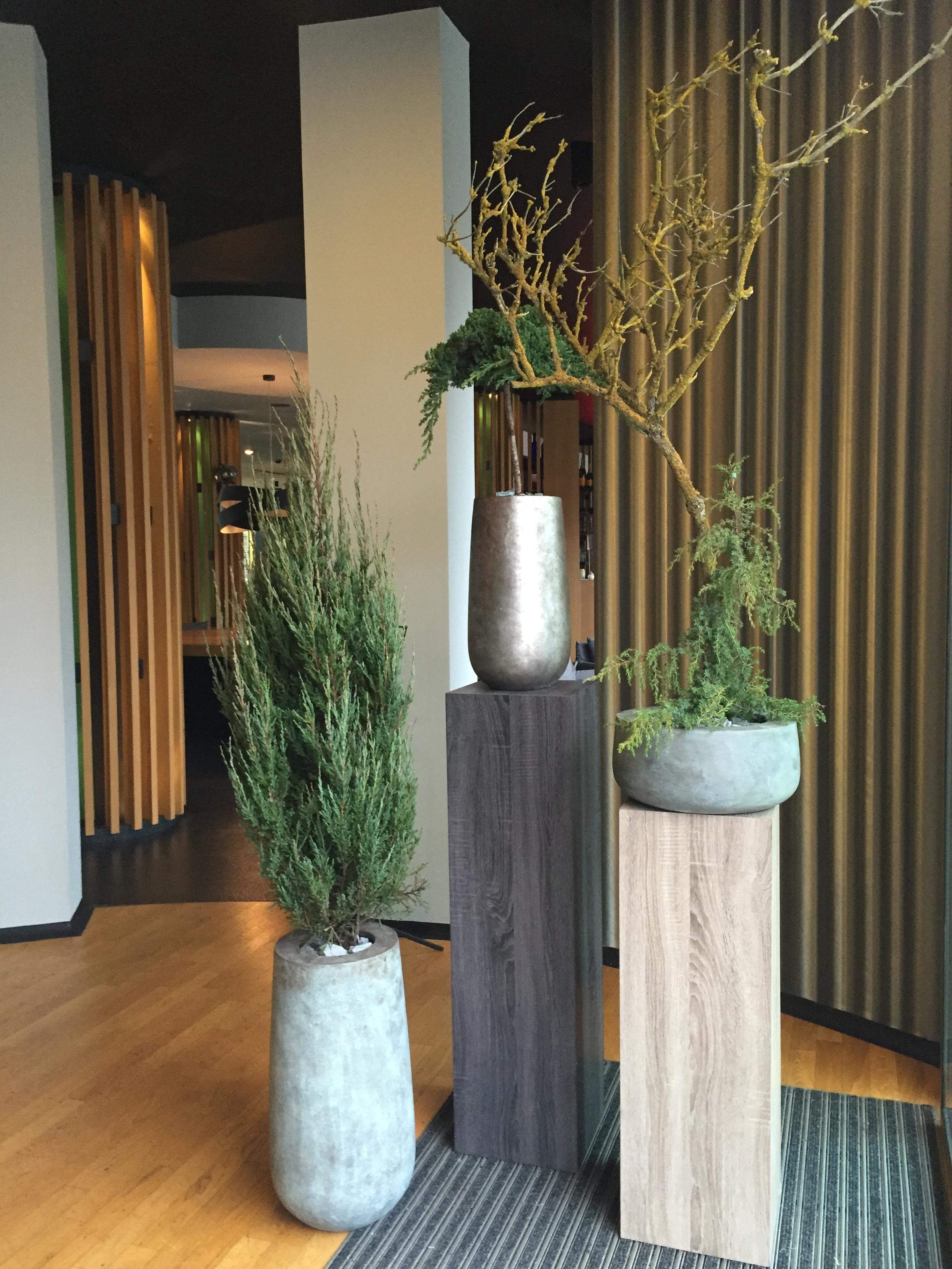 Axel - Adults Only Hotell Berlin