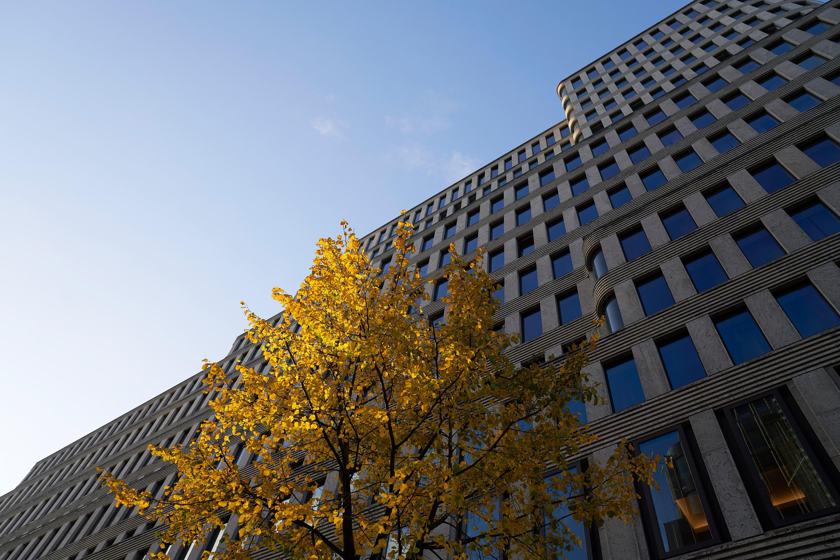 Dorint Kurfürstendamm 5*