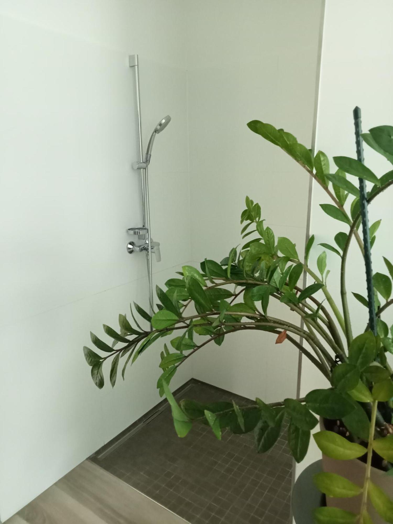 Stadtgruen 1 Lägenhet