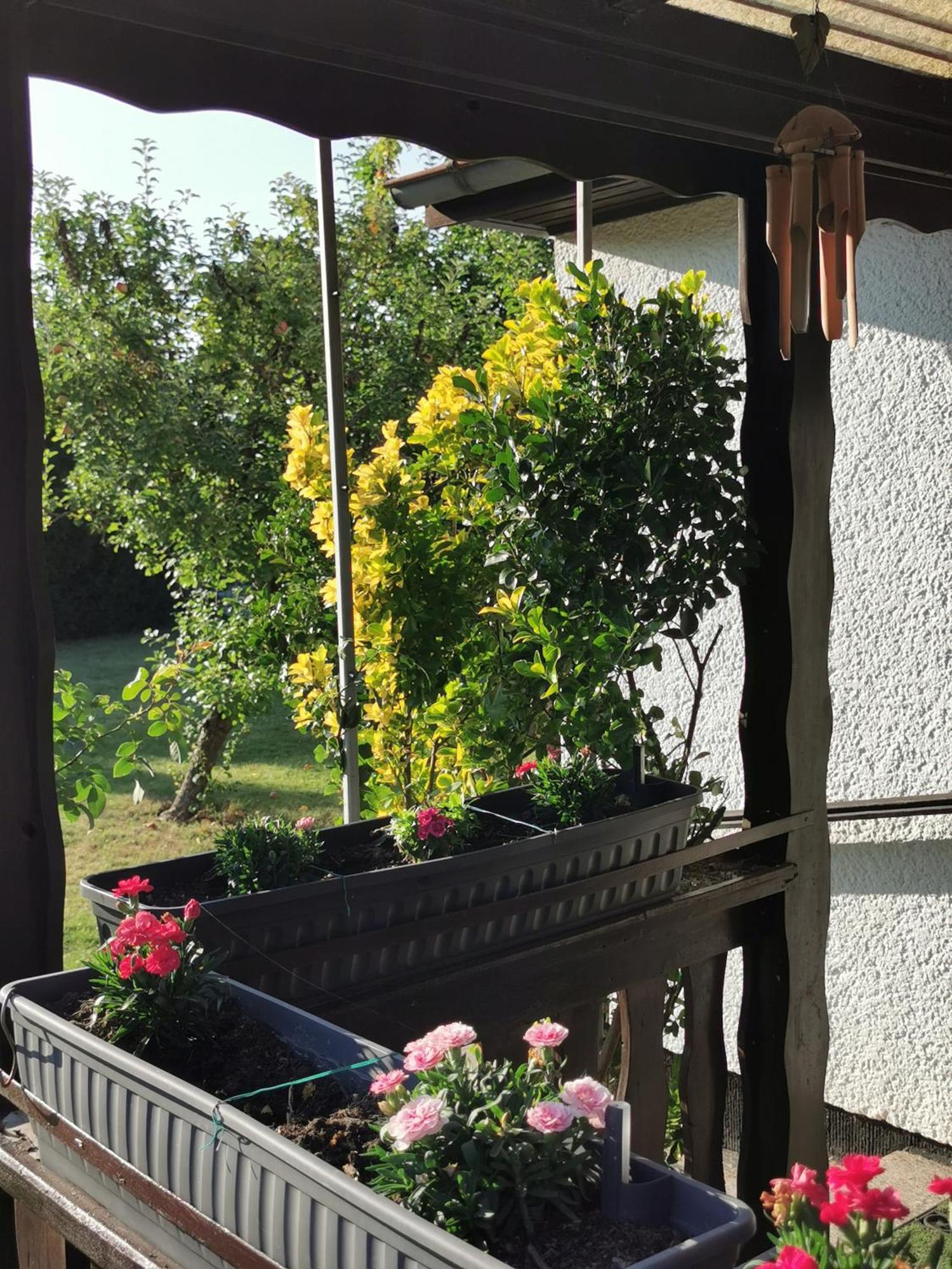 'am Rosenhag' Holiday home *