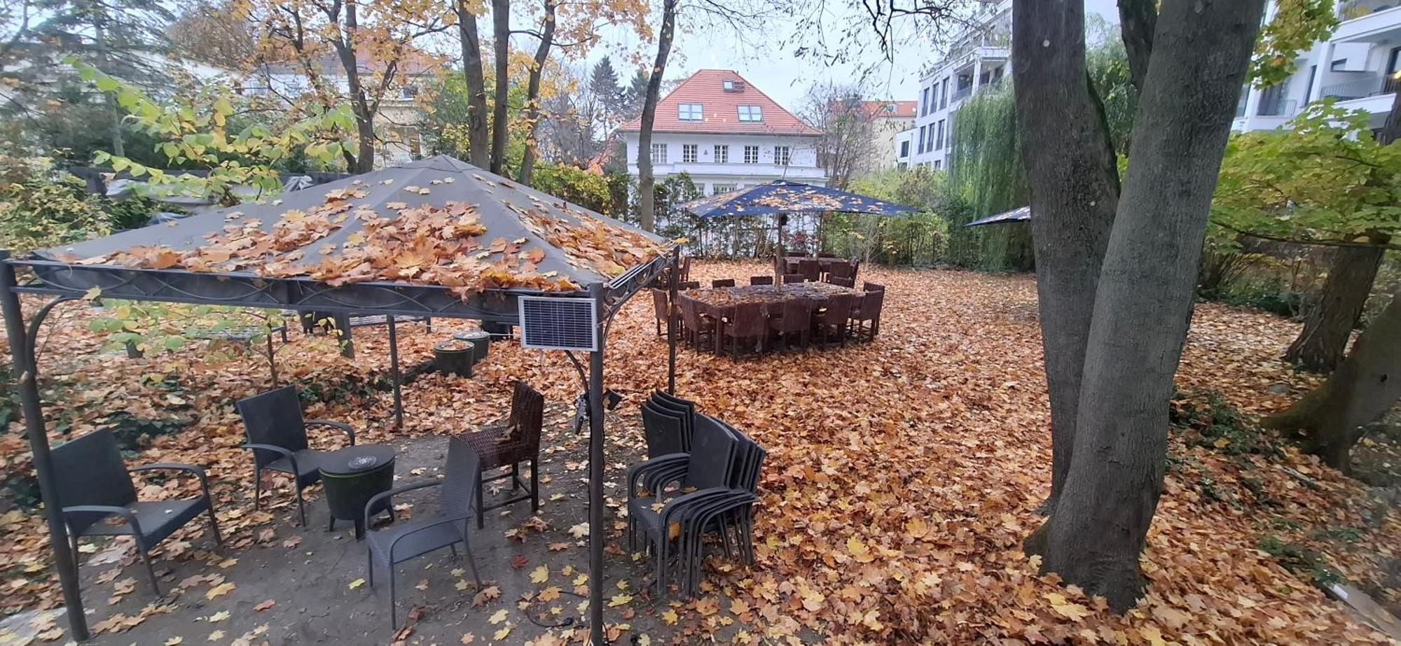 Frühstückspension King David Garden Berlin