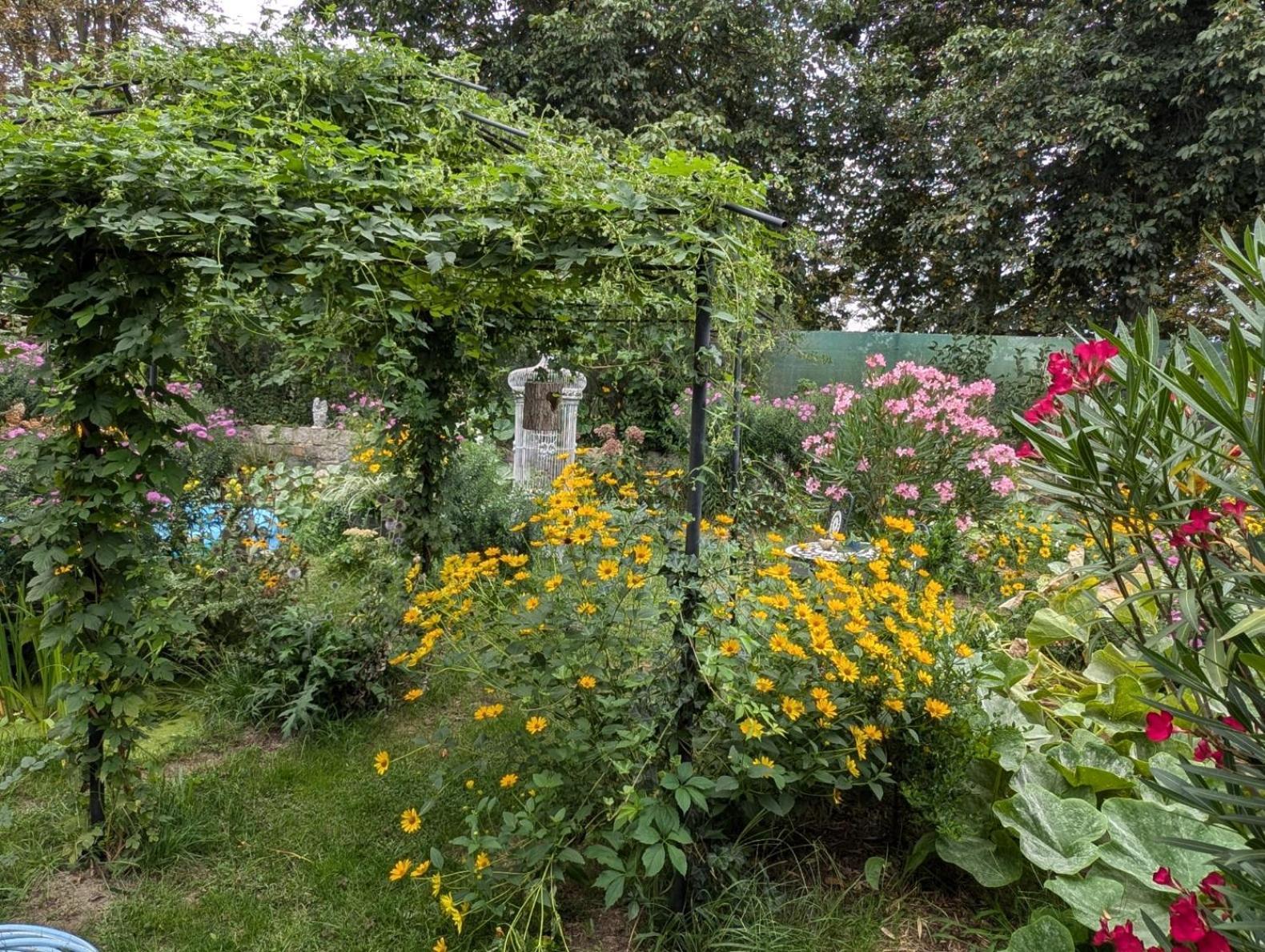 Village de vacances Im Idyllischen Garten