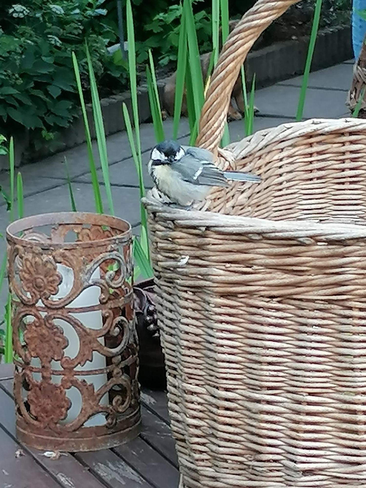 Village de vacances Im Idyllischen Garten Berlin