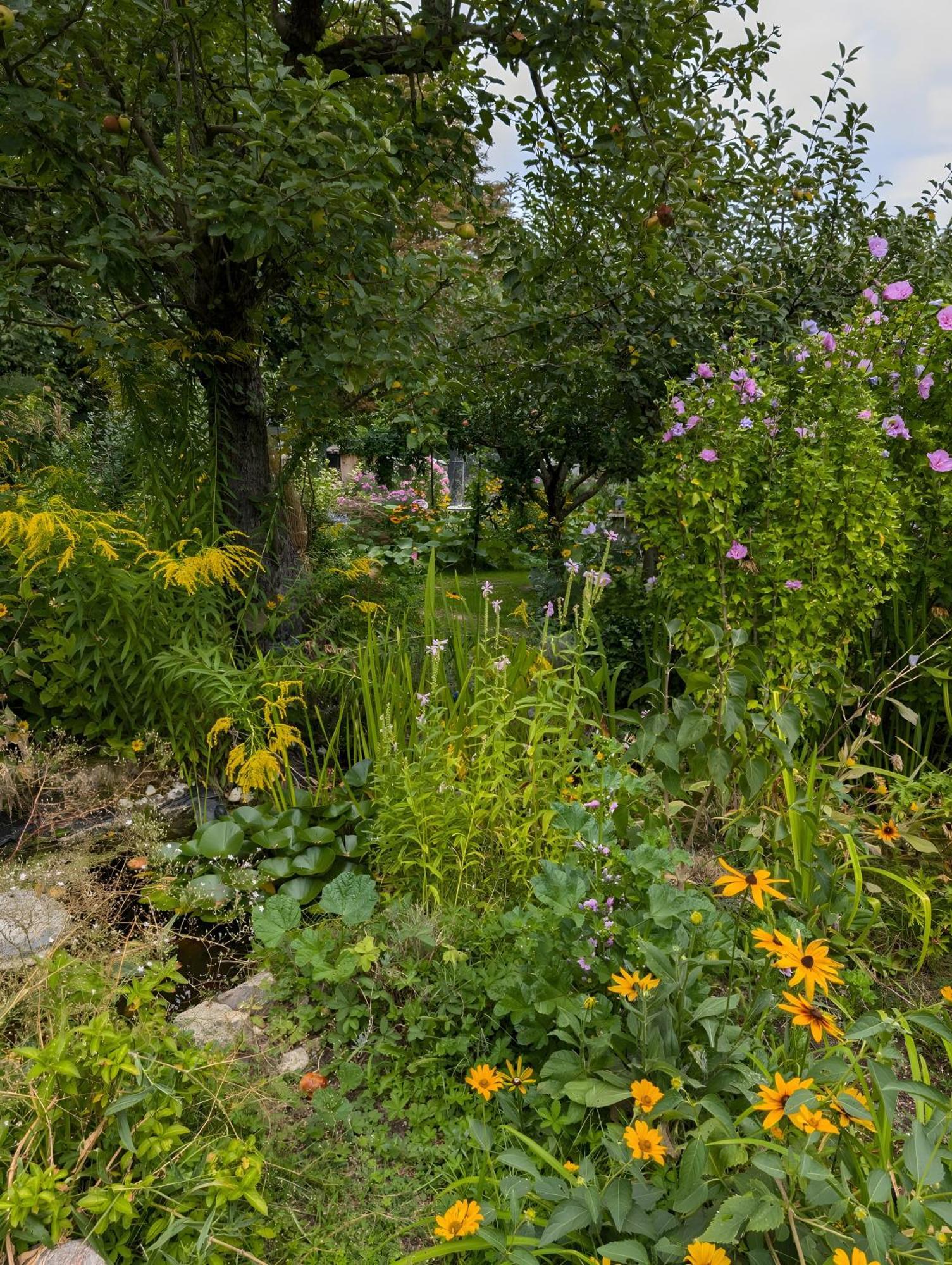 Village de vacances Im Idyllischen Garten Berlin