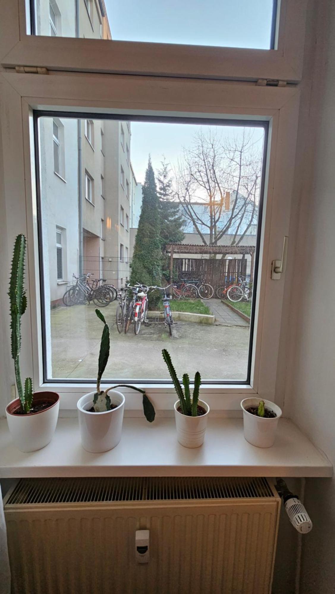 Apartment Everyday - Calling Berlin