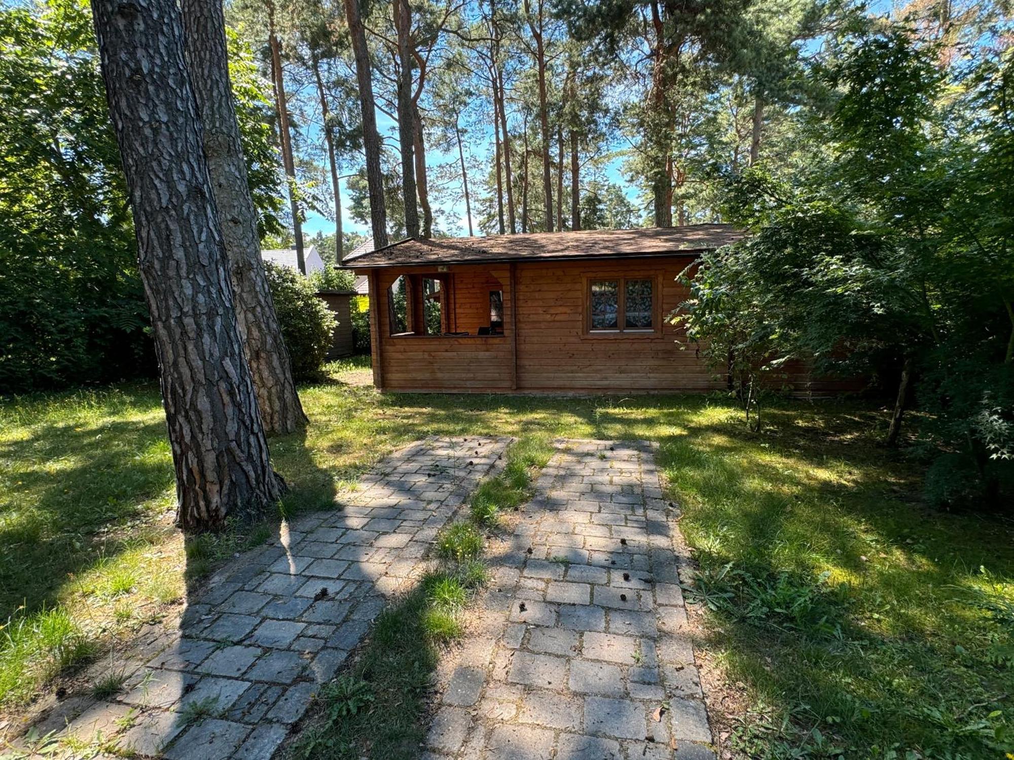 Waldblick Appartement *