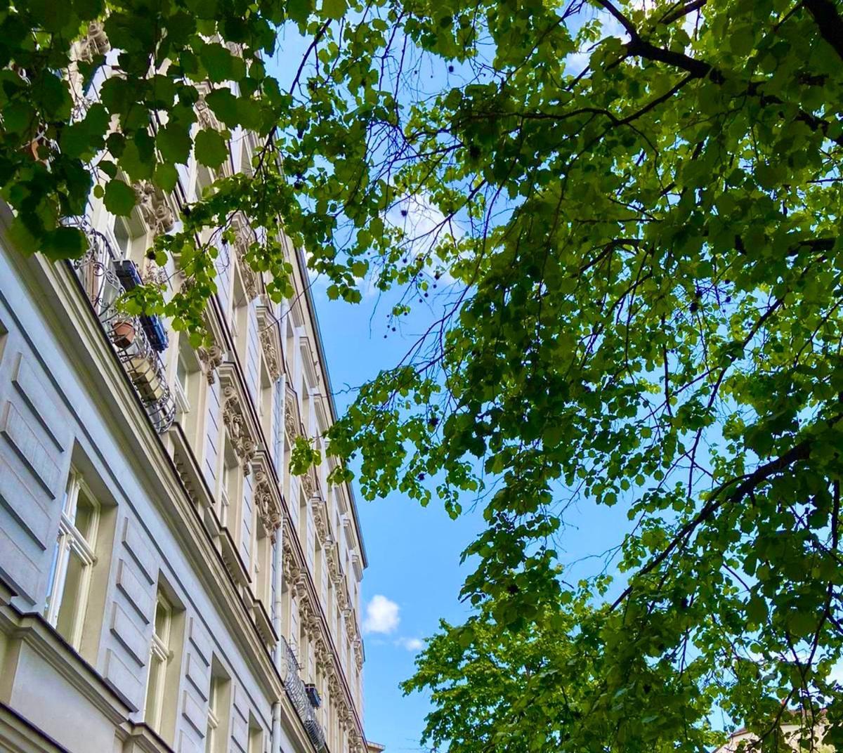 Apartment Prenzlauer Berg, Cozy Ground Floor Berlin