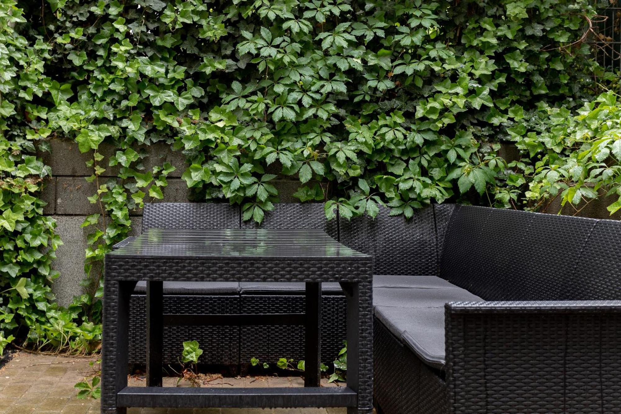 Global Living - Design I I Beamer I Kitchen I Terrace I Apartment