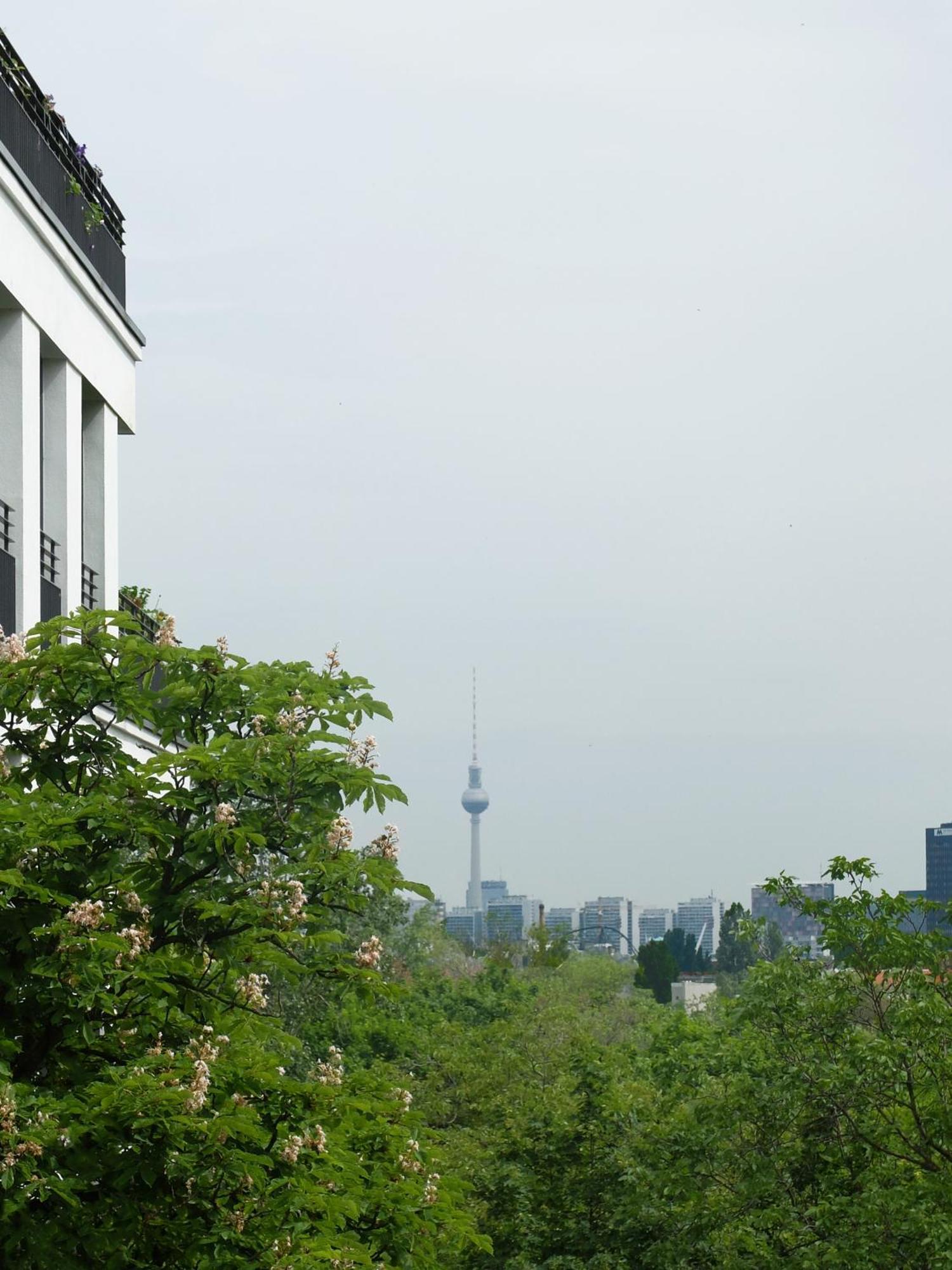 Vandrarhem Berlincity