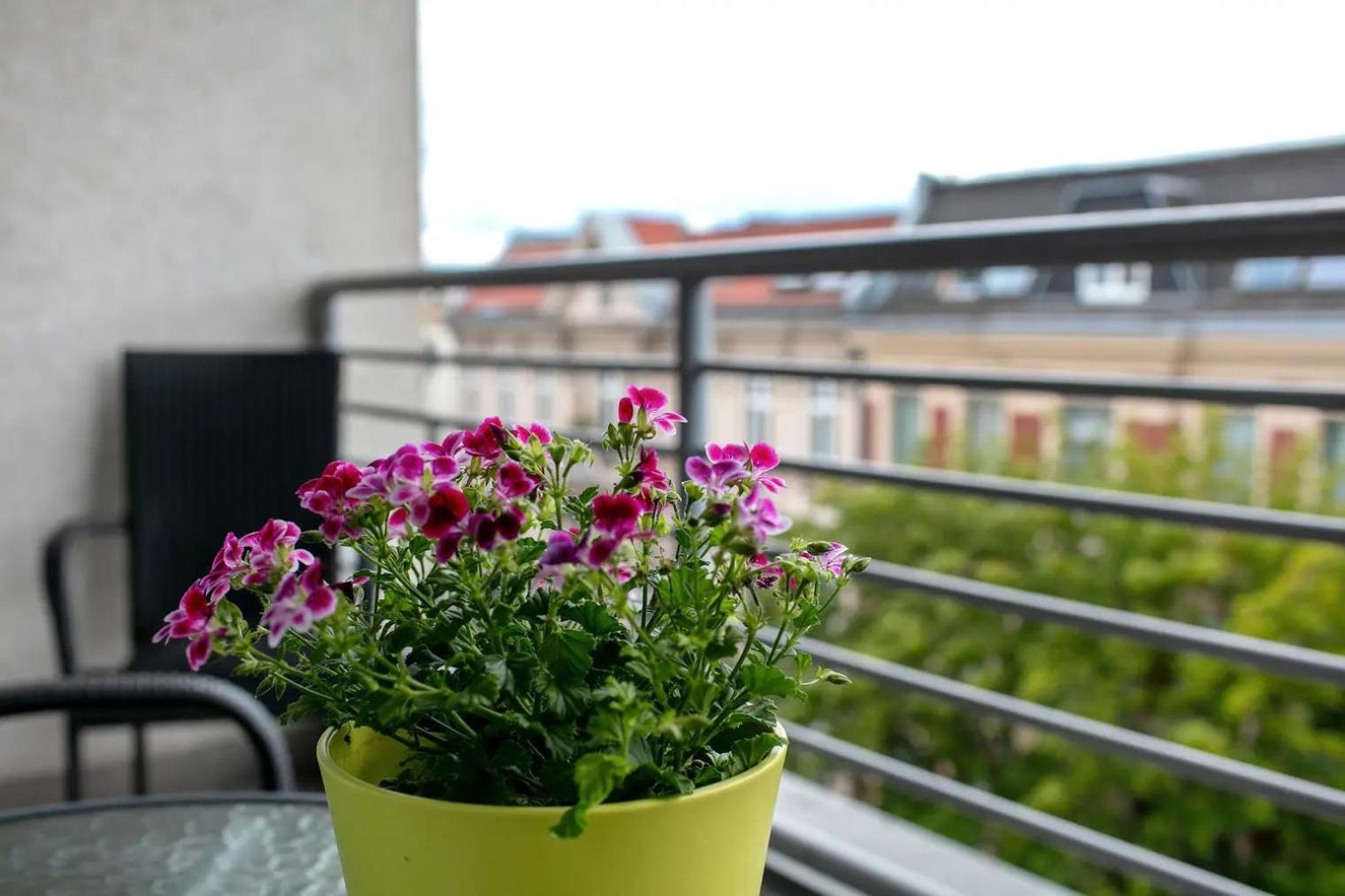Aparthotel Schoeneberg *