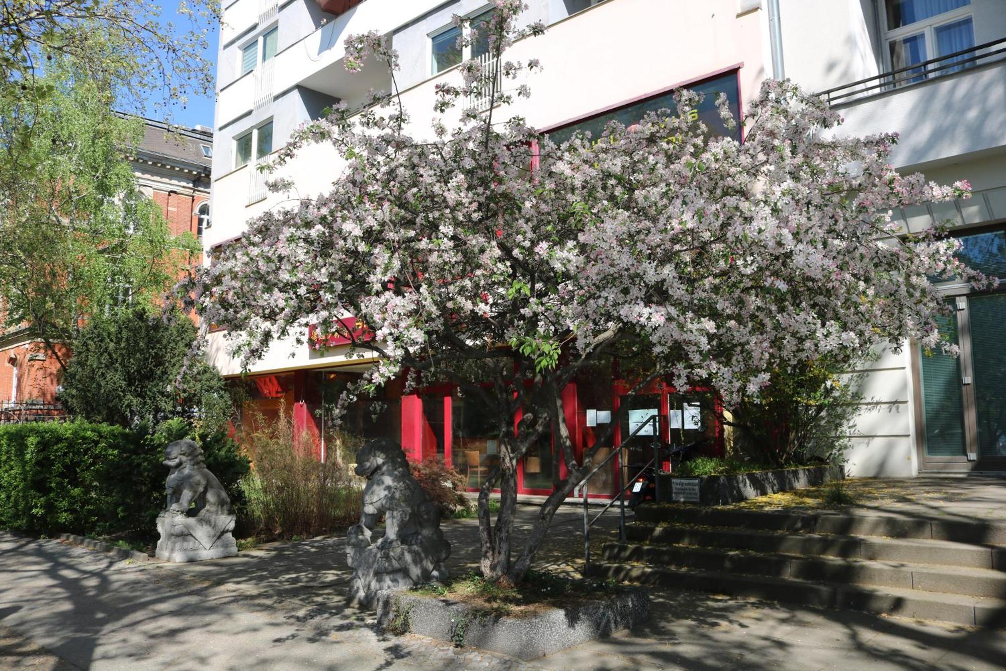 Nofa - Altbau Am Kudamm Berlin