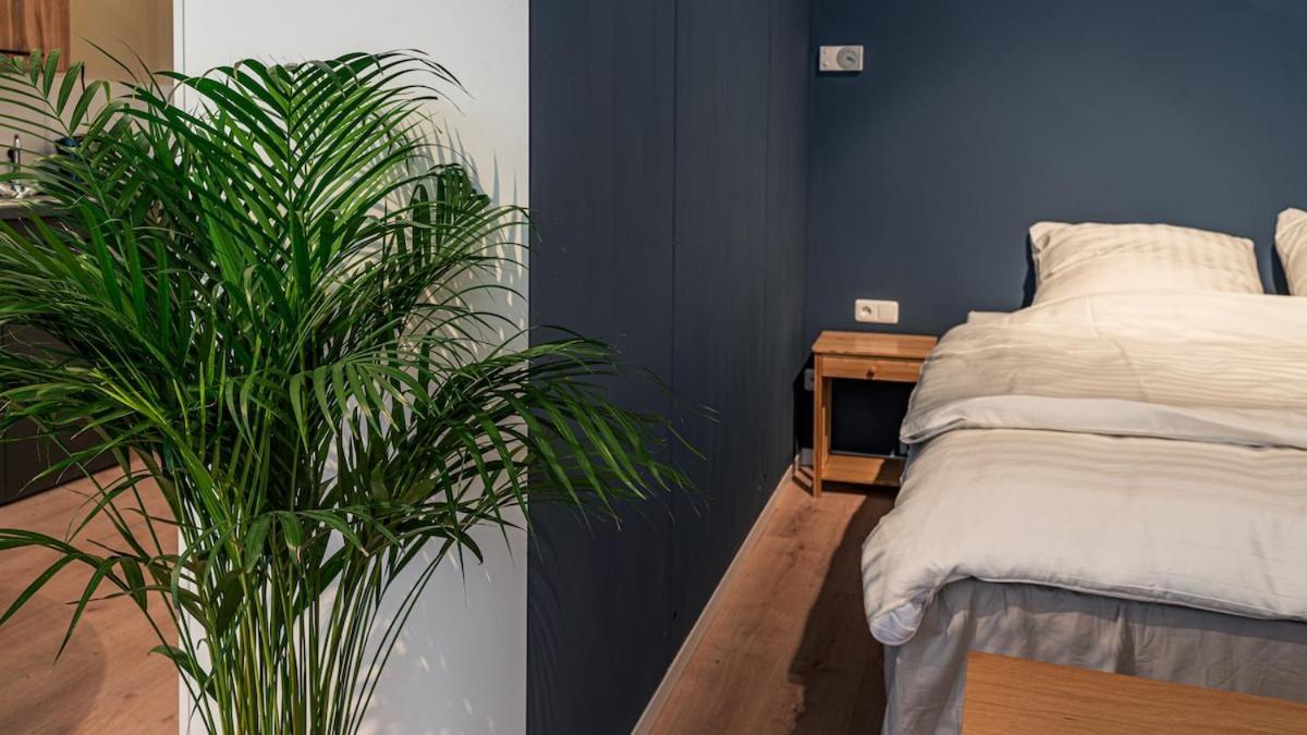 Apartment Modern *