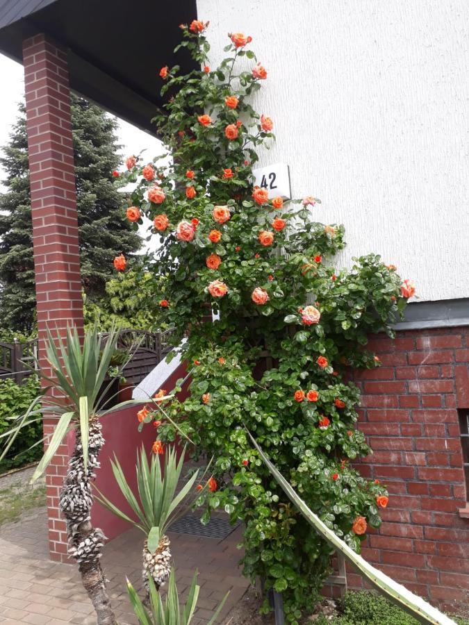 Lejlighed Besondere Quartier In Pankow