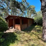 Ferienhaus Waldblick