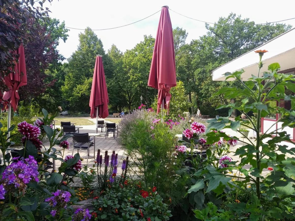 2 Bedroom Flat For Families & Calm Guests Lägenhet Berlin