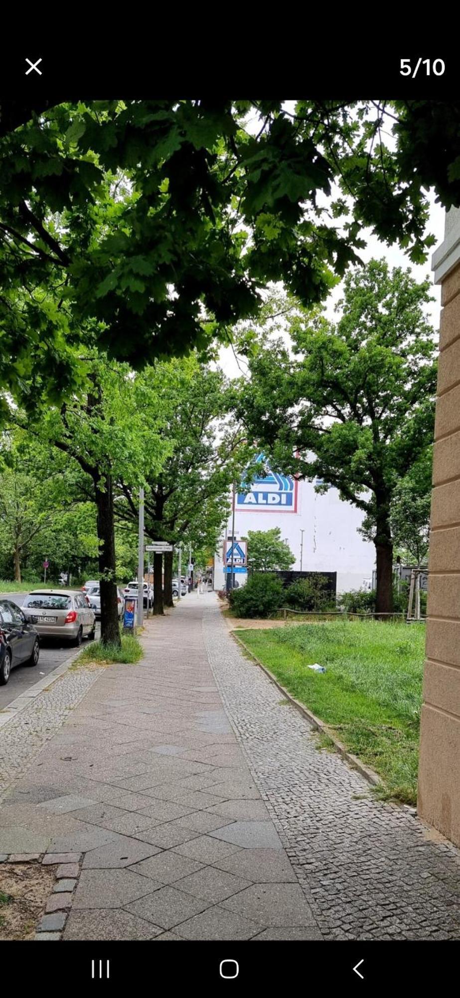 Apartment Schoenes Gesamtes Gegenueber Vom Botanischen Garten Und Nahe S Rathaus Steglitz Berlin