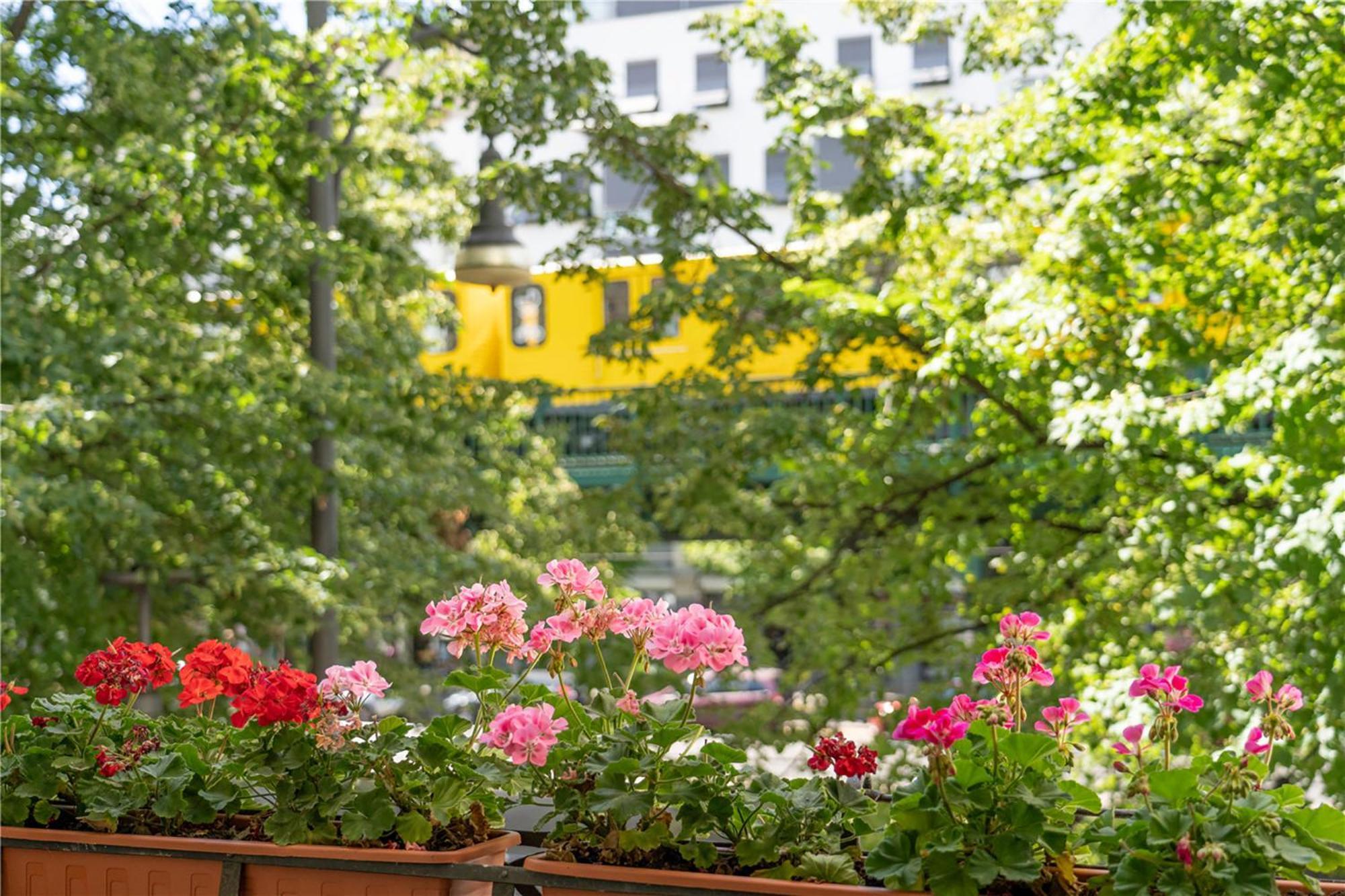33 E-g Schönhauser Allee Apartment *