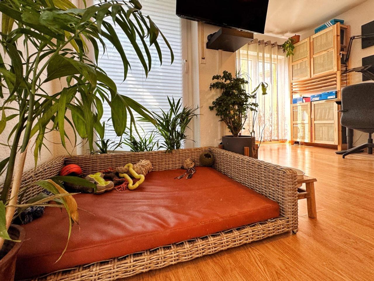 Lägenhet I Petfriendly Spaceous In Friedrichshain