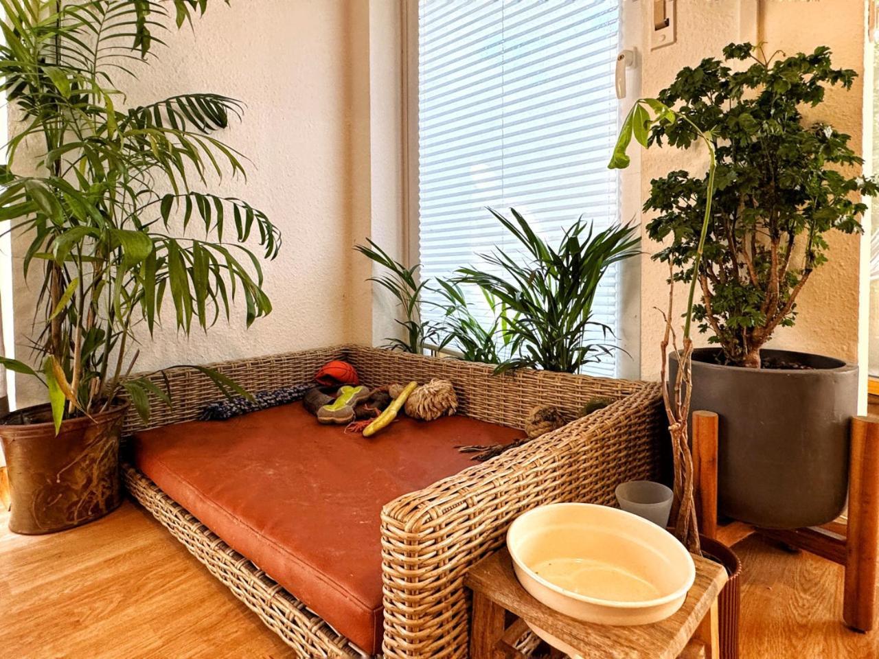 Lägenhet I Petfriendly Spaceous In Friedrichshain Berlin