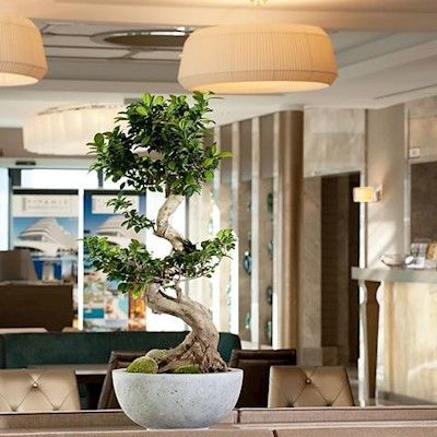 Titanic Comfort Mitte Hotell