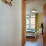 Ruhiges Studio Apartment Berlin Mitte 26M2 - U-Bahn Leopoldplatz By Rooms Berlin