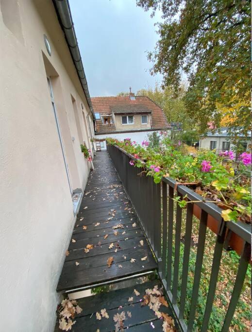 And Comfortable In Pankow Apartment Berlin