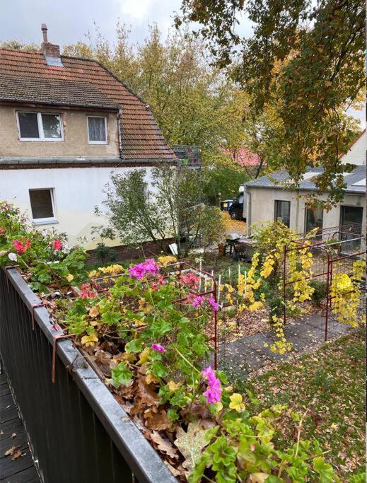 Apartment And Comfortable In Pankow