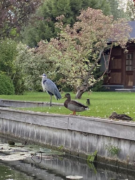 Ferienhaus Holzhaus Mit Direktem Wasserzugang In Berlin-koepenick Berlin