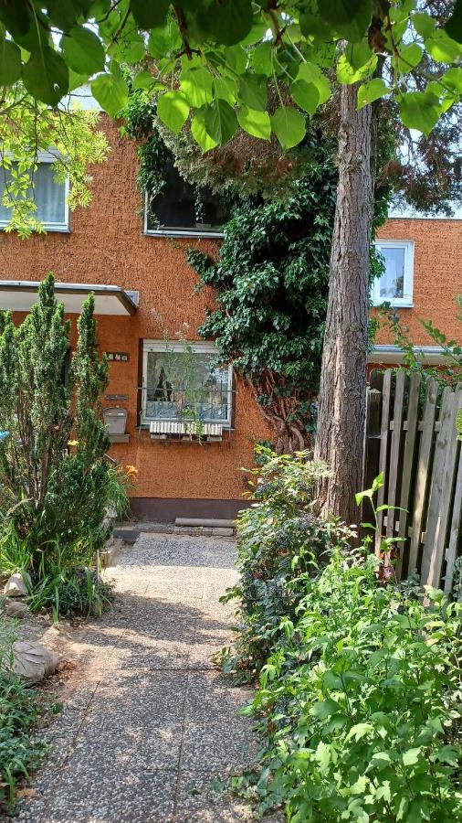 Homestay Mit Optimaler Verkehrsanbindung Und Vielen Extras In Berlin-rudow