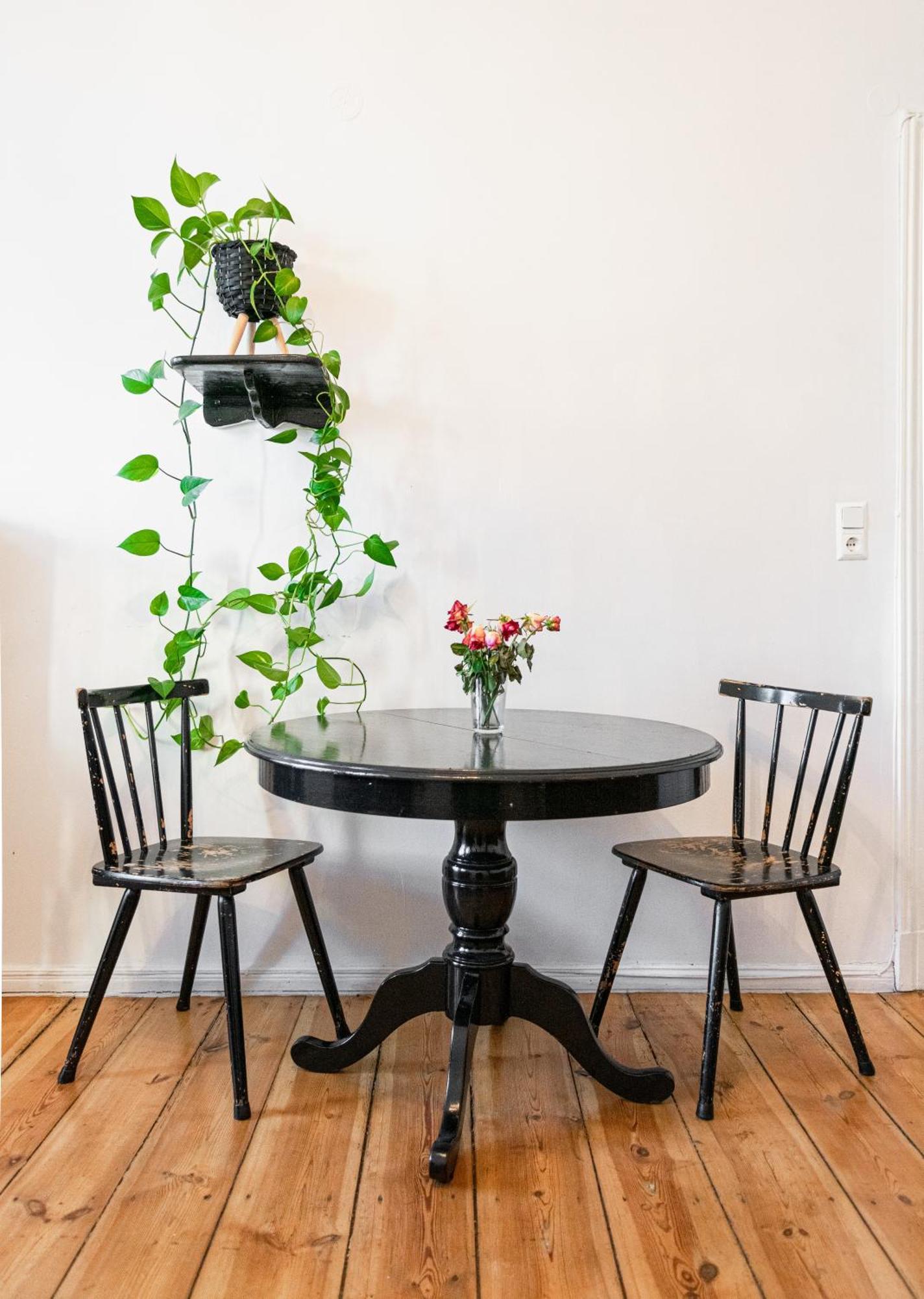 Boutique Altbau Lejlighed *