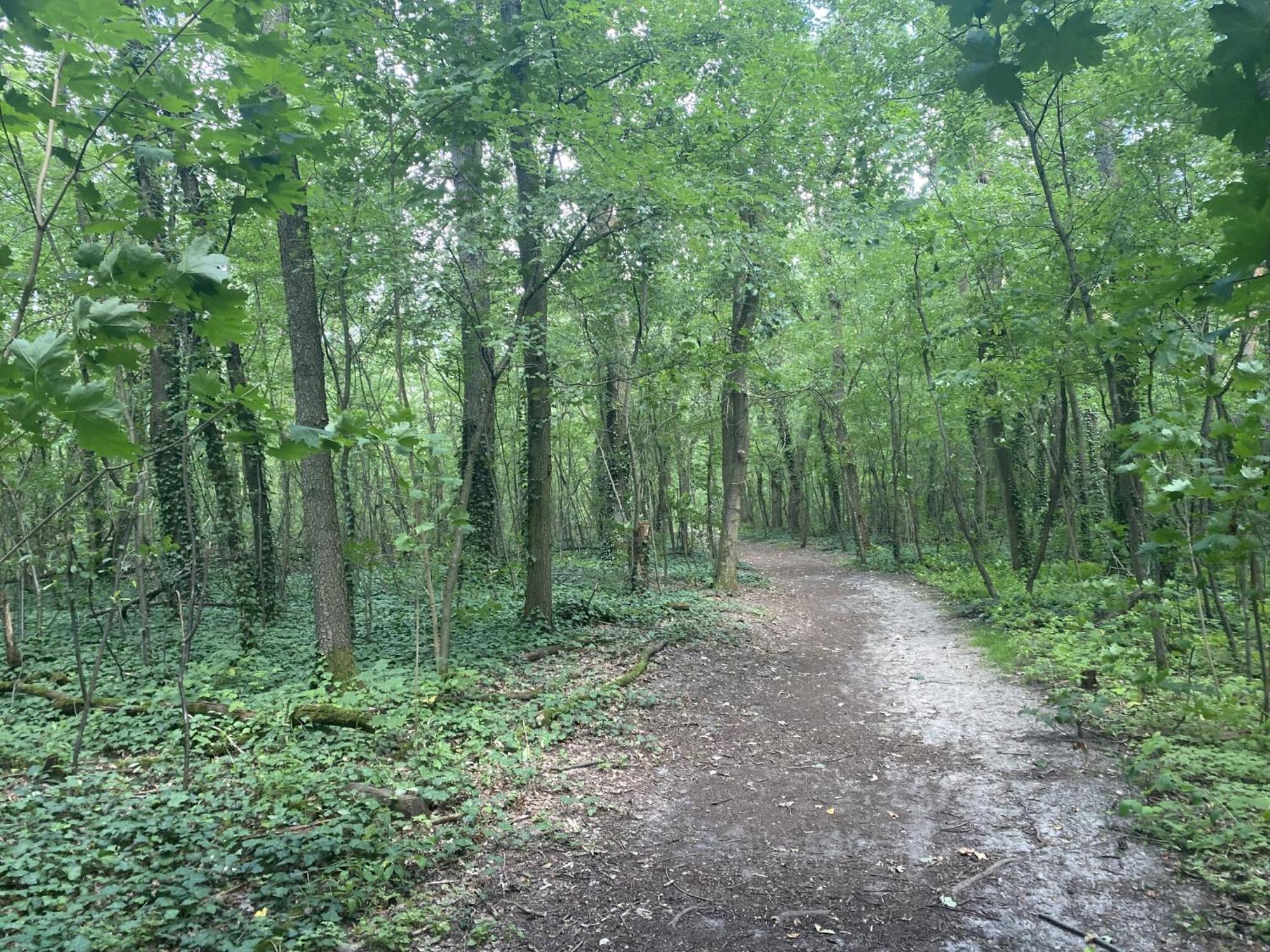 Ferien Am Berliner Mauerweg * Berlin