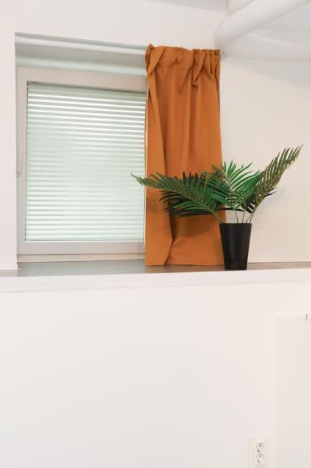 Zentral Gemuetliches Design Studio Lägenhet Berlin