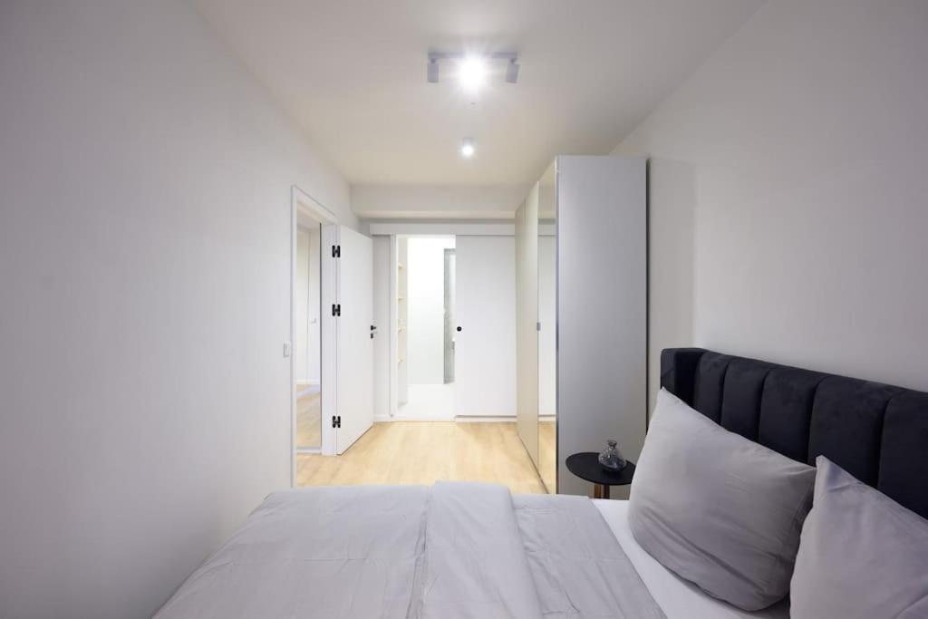 Appartement Huge Designer In Mitte 120 Sqm