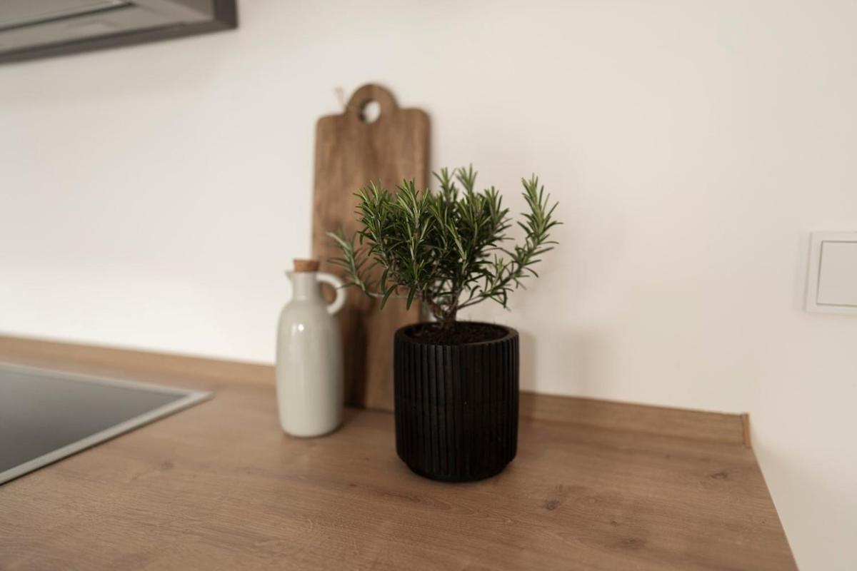 Design With Garden Apartment *