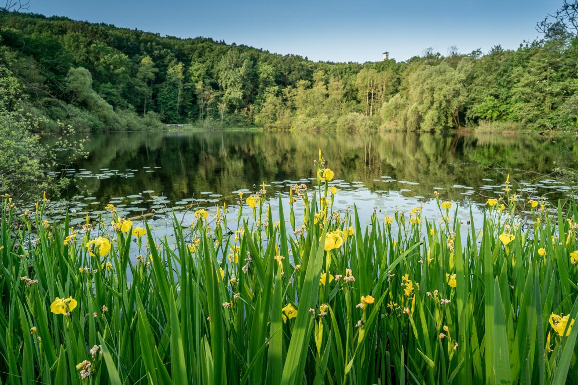 Ruebezahl Am Mueggelsee, Haus 20 Mohn Mit Eigener Sauna, Idealer Ort Fuer Natur- Und Erholungssuchende, Fuer Radfahrer Und Familien Mit Kindern Berlin