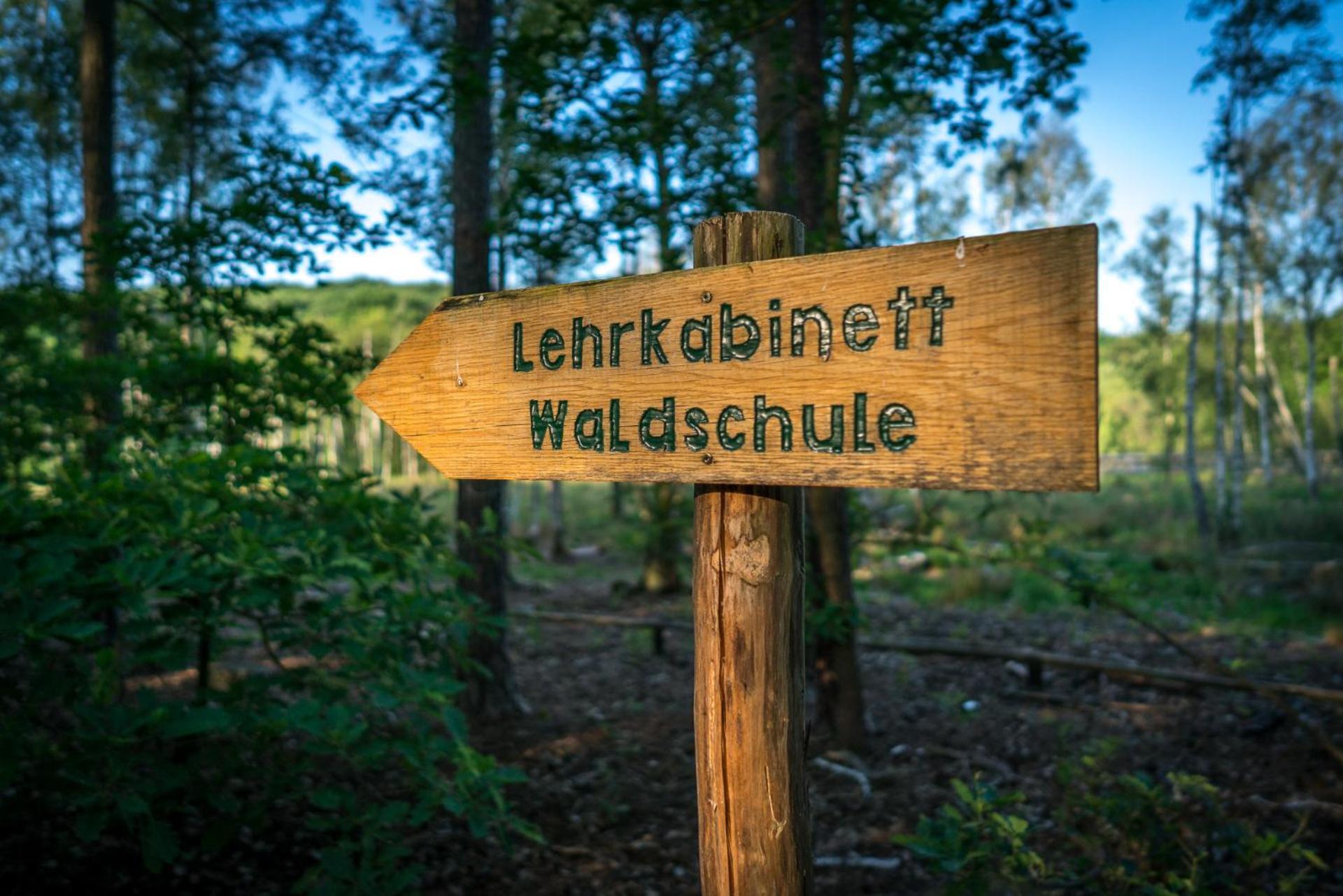 Ferienhaus Ruebezahl Am Mueggelsee, Haus 18 Schlehe Mit Eigener Sauna, Idealer Ort Fuer Natur- Und Erholungssuchende, Fuer Radfahrer Und Familien Mit Kindern Berlin
