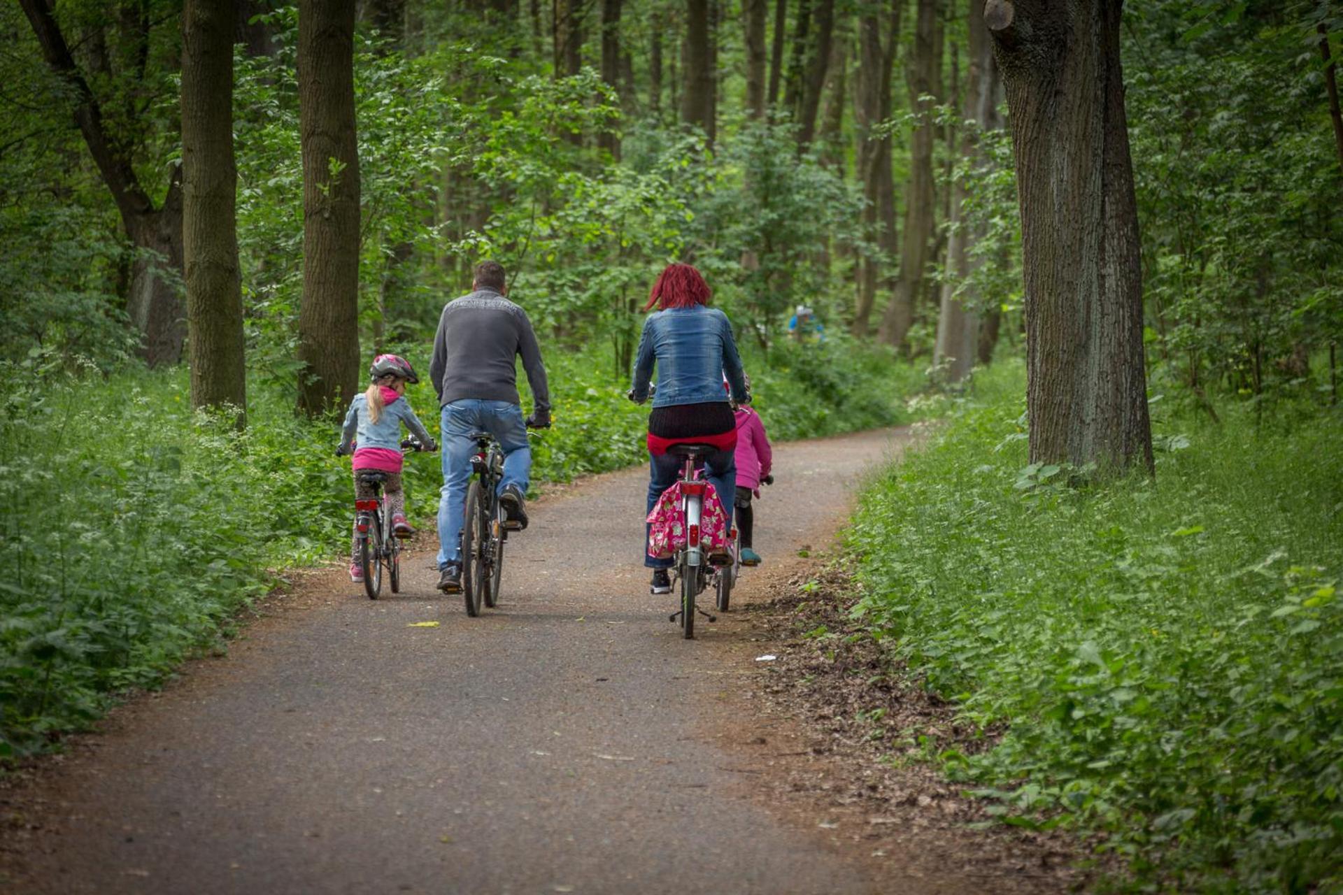 Ruebezahl Am Mueggelsee, Haus 18 Schlehe Mit Eigener Sauna, Idealer Ort Fuer Natur- Und Erholungssuchende, Fuer Radfahrer Und Familien Mit Kindern *