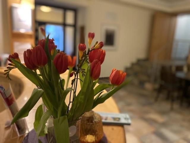 Hotell Bornholmer Hof Im Prenzlauer Berg Berlin
